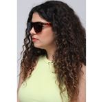 Eyewear Industry Luis Brown-Havana Unisex Güneş Gözlüğü